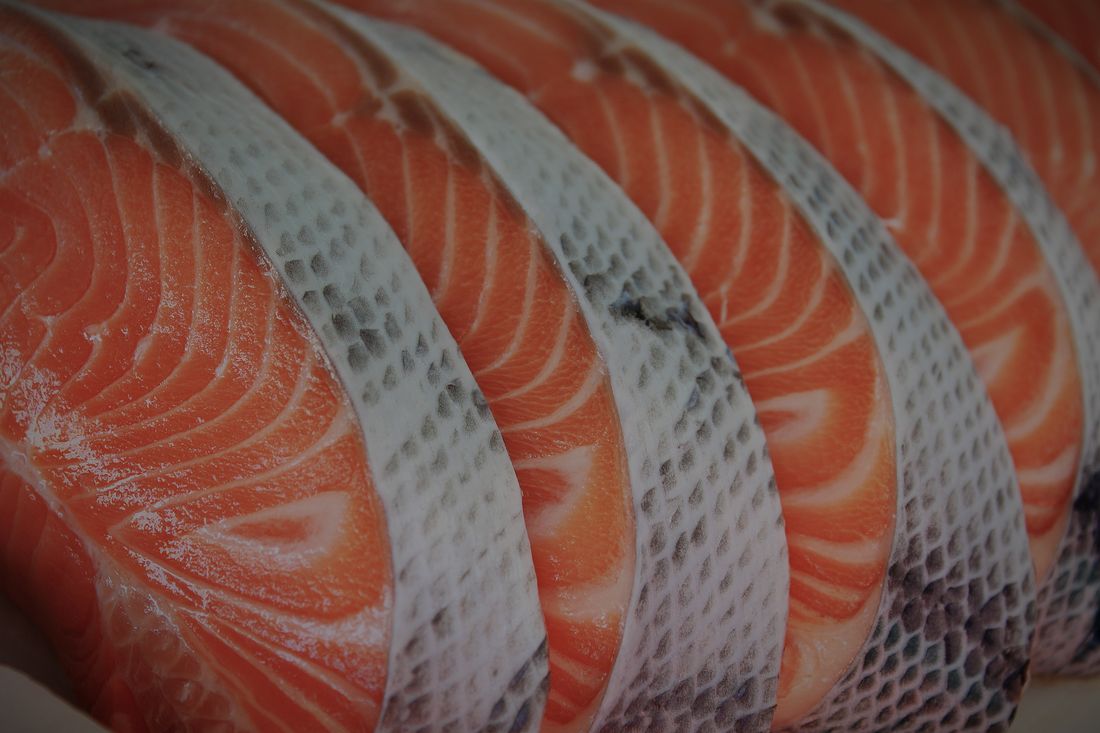 Steelhead trout from the Lois Lake operation