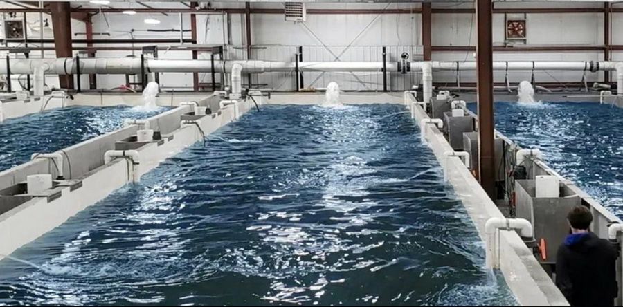 JLH RASWays land-based recirculating aquaculture system